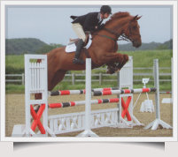 James Proctor Showjumping1
