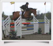 James Proctor Showjumping2