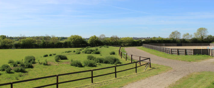 Goldenchime Stables Menage and Canter Track