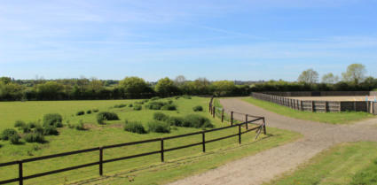 Goldenchime Stables Menage and Canter Track