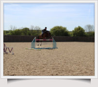 Showjumping arena